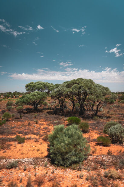 naina redhu, naina.co. journey beyond rail, the Indian pacific, nullarbor plain, sunsets, sunrises, Australia, Australian countryside, by train, rail journeys, travel photographer, hospitality attendant, locomotive, write, blogger, experience collector