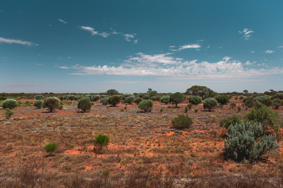naina redhu, naina.co. journey beyond rail, the Indian pacific, nullarbor plain, sunsets, sunrises, Australia, Australian countryside, by train, rail journeys, travel photographer, hospitality attendant, locomotive, write, blogger, experience collector