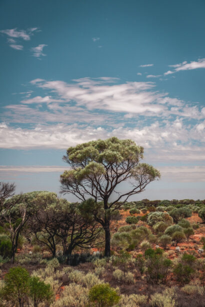 naina redhu, naina.co. journey beyond rail, the Indian pacific, nullarbor plain, sunsets, sunrises, Australia, Australian countryside, by train, rail journeys, travel photographer, hospitality attendant, locomotive, write, blogger, experience collector