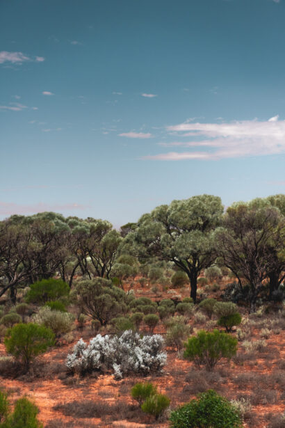 naina redhu, naina.co. journey beyond rail, the Indian pacific, nullarbor plain, sunsets, sunrises, Australia, Australian countryside, by train, rail journeys, travel photographer, hospitality attendant, locomotive, write, blogger, experience collector