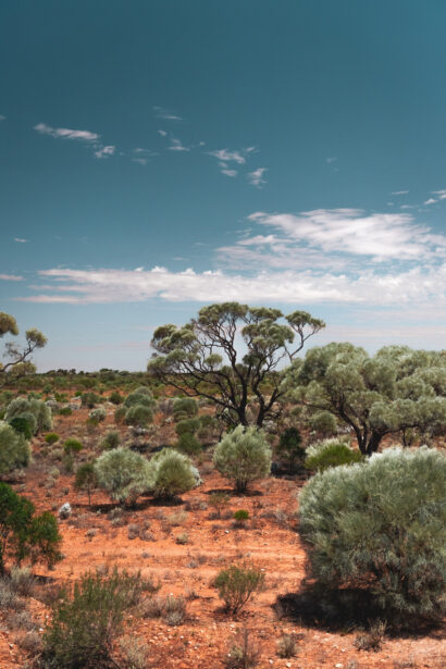 naina redhu, naina.co. journey beyond rail, the Indian pacific, nullarbor plain, sunsets, sunrises, Australia, Australian countryside, by train, rail journeys, travel photographer, hospitality attendant, locomotive, write, blogger, experience collector