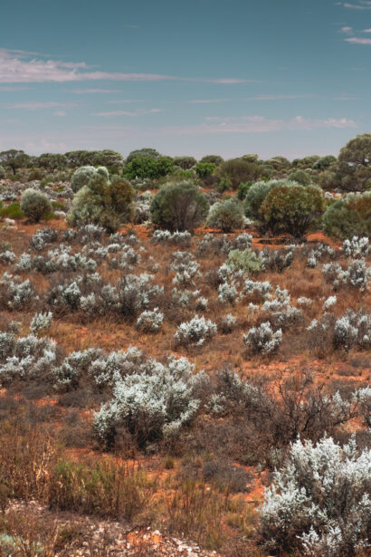 naina redhu, naina.co. journey beyond rail, the Indian pacific, nullarbor plain, sunsets, sunrises, Australia, Australian countryside, by train, rail journeys, travel photographer, hospitality attendant, locomotive, write, blogger, experience collector