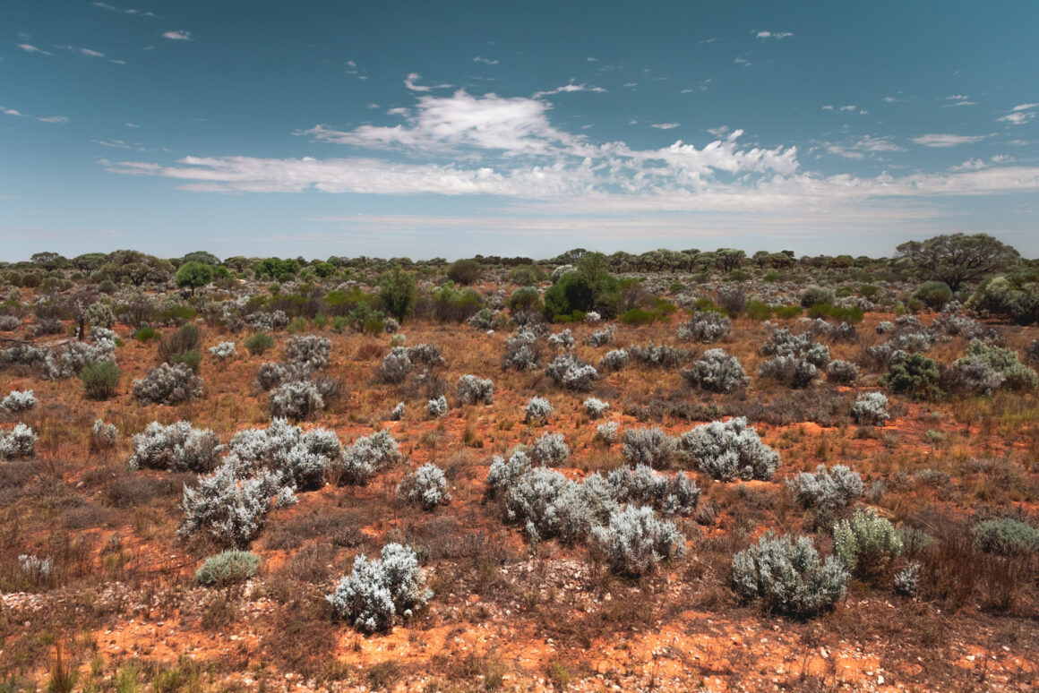 naina redhu, naina.co. journey beyond rail, the Indian pacific, nullarbor plain, sunsets, sunrises, Australia, Australian countryside, by train, rail journeys, travel photographer, hospitality attendant, locomotive, write, blogger, experience collector