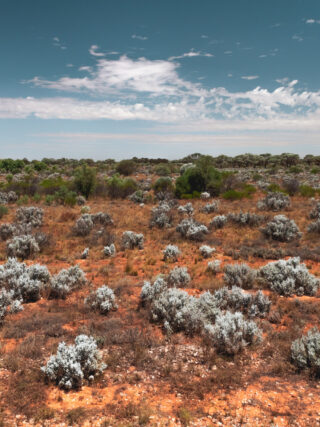 naina redhu, naina.co. journey beyond rail, the Indian pacific, nullarbor plain, sunsets, sunrises, Australia, Australian countryside, by train, rail journeys, travel photographer, hospitality attendant, locomotive, write, blogger, experience collector