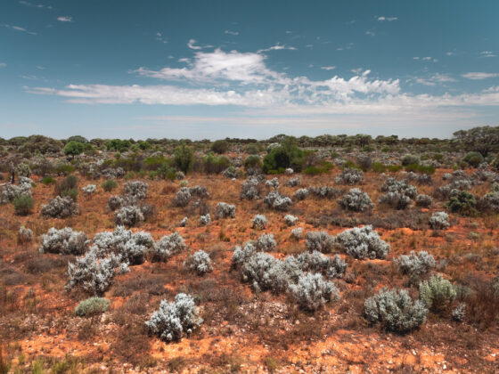 naina redhu, naina.co. journey beyond rail, the Indian pacific, nullarbor plain, sunsets, sunrises, Australia, Australian countryside, by train, rail journeys, travel photographer, hospitality attendant, locomotive, write, blogger, experience collector