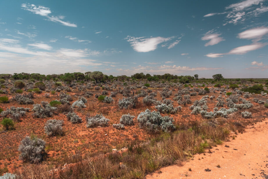 naina redhu, naina.co. journey beyond rail, the Indian pacific, nullarbor plain, sunsets, sunrises, Australia, Australian countryside, by train, rail journeys, travel photographer, hospitality attendant, locomotive, write, blogger, experience collector