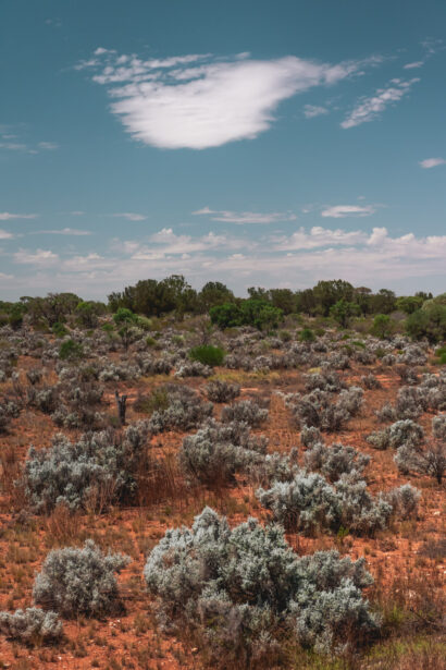 naina redhu, naina.co. journey beyond rail, the Indian pacific, nullarbor plain, sunsets, sunrises, Australia, Australian countryside, by train, rail journeys, travel photographer, hospitality attendant, locomotive, write, blogger, experience collector