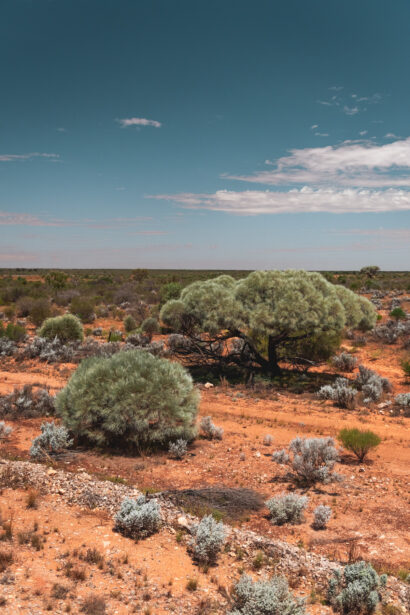 naina redhu, naina.co. journey beyond rail, the Indian pacific, nullarbor plain, sunsets, sunrises, Australia, Australian countryside, by train, rail journeys, travel photographer, hospitality attendant, locomotive, write, blogger, experience collector