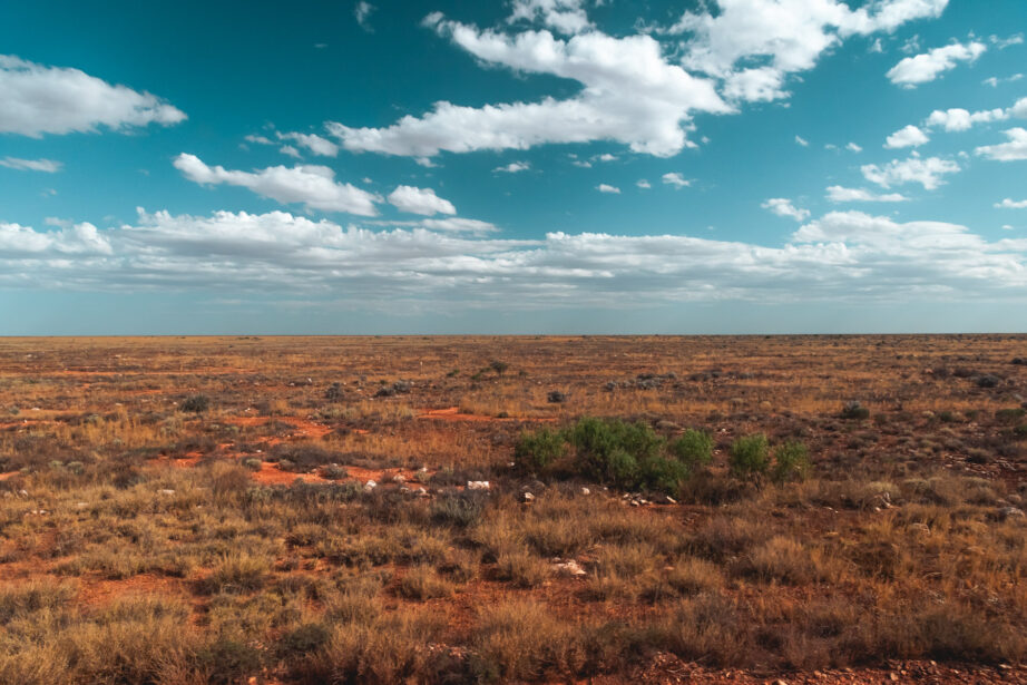 naina redhu, naina.co. journey beyond rail, the Indian pacific, nullarbor plain, sunsets, sunrises, Australia, Australian countryside, by train, rail journeys, travel photographer, hospitality attendant, locomotive, write, blogger, experience collector