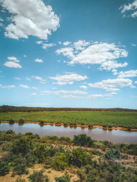 naina redhu, naina.co. journey beyond rail, the Indian pacific, nullarbor plain, sunsets, sunrises, Australia, Australian countryside, by train, rail journeys, travel photographer, hospitality attendant, locomotive, write, blogger, experience collector