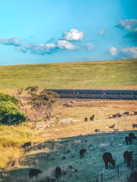 naina redhu, naina.co. journey beyond rail, the Indian pacific, nullarbor plain, sunsets, sunrises, Australia, Australian countryside, by train, rail journeys, travel photographer, hospitality attendant, locomotive, write, blogger, experience collector