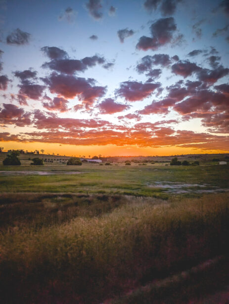 naina redhu, naina.co. journey beyond rail, the Indian pacific, nullarbor plain, sunsets, sunrises, Australia, Australian countryside, by train, rail journeys, travel photographer, hospitality attendant, locomotive, write, blogger, experience collector