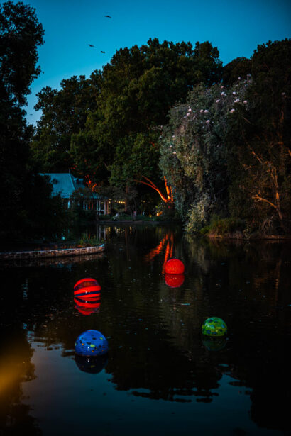 naina redhu, naina.co, Adelaide botanic garden, south Australia, dale Chihuly, glass art, glass sculptures, photographer, writer, experience collector, blogger, botanic garden and state herbarium, bgsh, nights, in full colour