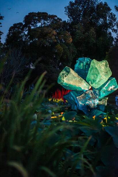 naina redhu, naina.co, Adelaide botanic garden, south Australia, dale Chihuly, glass art, glass sculptures, photographer, writer, experience collector, blogger, botanic garden and state herbarium, bgsh, nights, in full colour