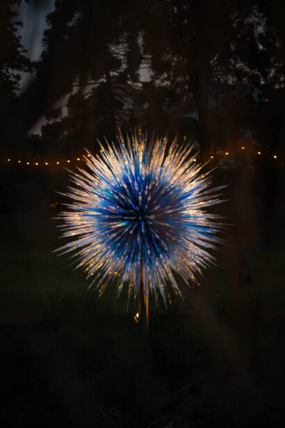 naina redhu, naina.co, Adelaide botanic garden, south Australia, dale Chihuly, glass art, glass sculptures, photographer, writer, experience collector, blogger, botanic garden and state herbarium, bgsh, nights, in full colour