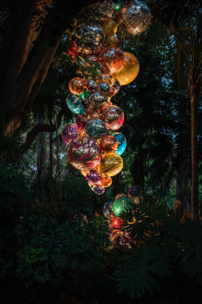 naina redhu, naina.co, Adelaide botanic garden, south Australia, dale Chihuly, glass art, glass sculptures, photographer, writer, experience collector, blogger, botanic garden and state herbarium, bgsh, nights, in full colour