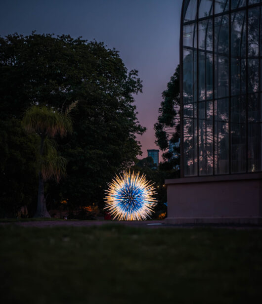 naina redhu, naina.co, Adelaide botanic garden, south Australia, dale Chihuly, glass art, glass sculptures, photographer, writer, experience collector, blogger, botanic garden and state herbarium, bgsh, nights, in full colour