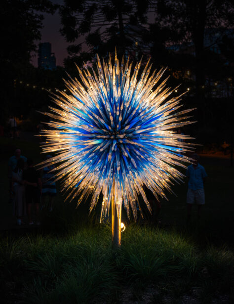 naina redhu, naina.co, Adelaide botanic garden, south Australia, dale Chihuly, glass art, glass sculptures, photographer, writer, experience collector, blogger, botanic garden and state herbarium, bgsh, nights, in full colour