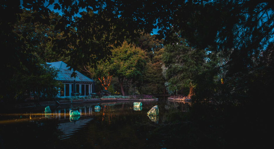 naina redhu, naina.co, Adelaide botanic garden, south Australia, dale Chihuly, glass art, glass sculptures, photographer, writer, experience collector, blogger, botanic garden and state herbarium, bgsh, nights, in full colour