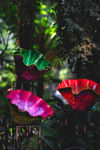 naina redhu, naina.co, Adelaide botanic garden, south Australia, dale Chihuly, glass art, glass sculptures, photographer, writer, experience collector, blogger