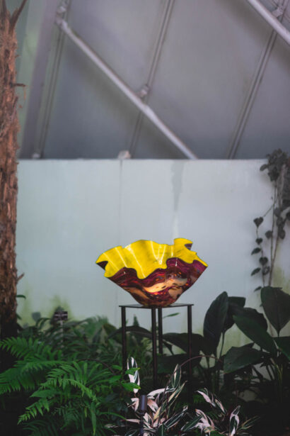 naina redhu, naina.co, Adelaide botanic garden, south Australia, dale Chihuly, glass art, glass sculptures, photographer, writer, experience collector, blogger
