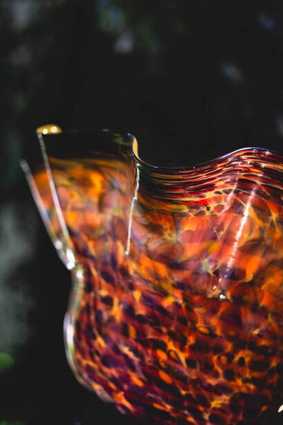 naina redhu, naina.co, Adelaide botanic garden, south Australia, dale Chihuly, glass art, glass sculptures, photographer, writer, experience collector, blogger