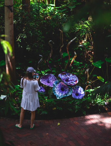 naina redhu, naina.co, Adelaide botanic garden, south Australia, dale Chihuly, glass art, glass sculptures, photographer, writer, experience collector, blogger