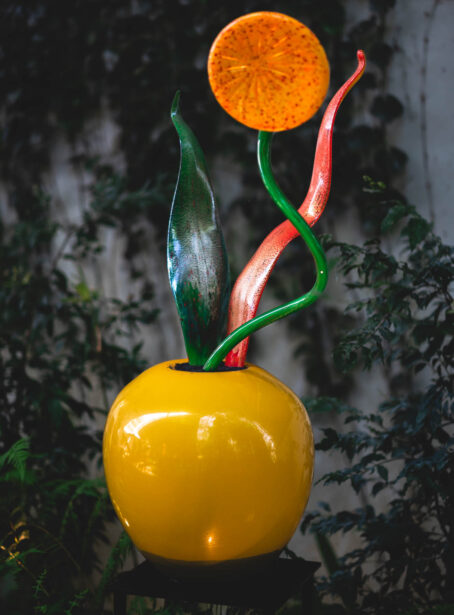 naina redhu, naina.co, Adelaide botanic garden, south Australia, dale Chihuly, glass art, glass sculptures, photographer, writer, experience collector, blogger