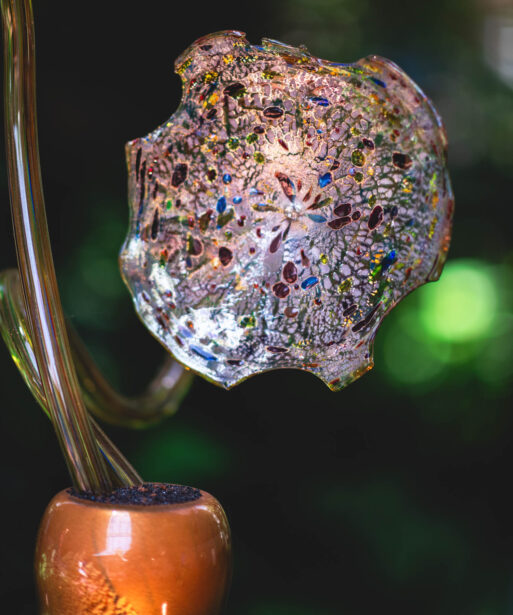 naina redhu, naina.co, Adelaide botanic garden, south Australia, dale Chihuly, glass art, glass sculptures, photographer, writer, experience collector, blogger