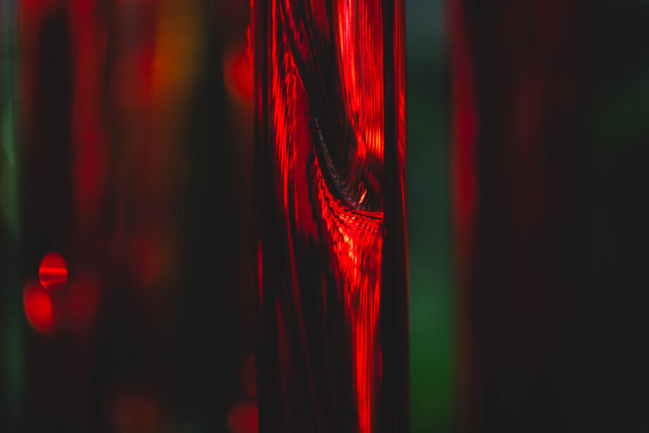naina redhu, naina.co, Adelaide botanic garden, south Australia, dale Chihuly, glass art, glass sculptures, photographer, writer, experience collector, blogger