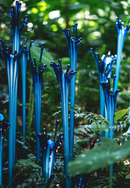 naina redhu, naina.co, Adelaide botanic garden, south Australia, dale Chihuly, glass art, glass sculptures, photographer, writer, experience collector, blogger