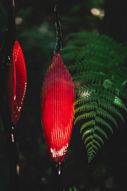 naina redhu, naina.co, Adelaide botanic garden, south Australia, dale Chihuly, glass art, glass sculptures, photographer, writer, experience collector, blogger