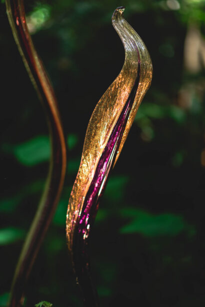 naina redhu, naina.co, Adelaide botanic garden, south Australia, dale Chihuly, glass art, glass sculptures, photographer, writer, experience collector, blogger