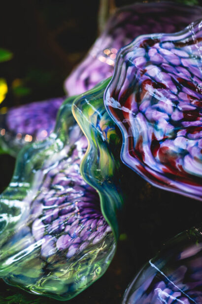 naina redhu, naina.co, Adelaide botanic garden, south Australia, dale Chihuly, glass art, glass sculptures, photographer, writer, experience collector, blogger