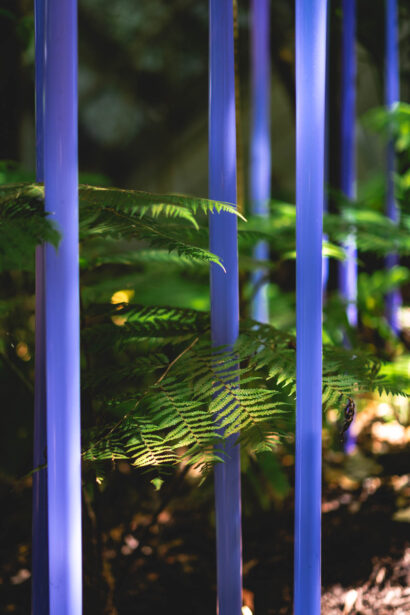 naina redhu, naina.co, Adelaide botanic garden, south Australia, dale Chihuly, glass art, glass sculptures, photographer, writer, experience collector, blogger