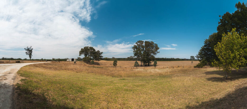 naina.co, naina redhu, Adelaide photographer, lifestyle, wine, eight at the gate, eightatthegate, wrattonbully, south Australia, wine region, wine estate, vineyard, photography,jane Richards, claire Richards, tom, meg, grapes, grape vine, south australian