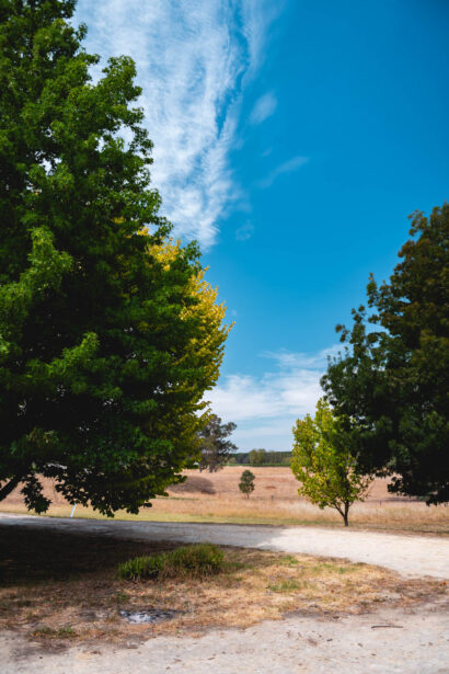 naina.co, naina redhu, Adelaide photographer, lifestyle, wine, eight at the gate, eightatthegate, wrattonbully, south Australia, wine region, wine estate, vineyard, photography,jane Richards, claire Richards, tom, meg, grapes, grape vine, south australian