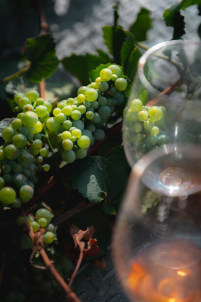 naina.co, naina redhu, Adelaide photographer, lifestyle, wine, eight at the gate, eightatthegate, wrattonbully, south Australia, wine region, wine estate, vineyard, photography,jane Richards, claire Richards, tom, meg, grapes, grape vine, south australian