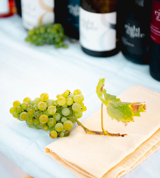 naina.co, naina redhu, Adelaide photographer, lifestyle, wine, eight at the gate, eightatthegate, wrattonbully, south Australia, wine region, wine estate, vineyard, photography,jane Richards, claire Richards, tom, meg, grapes, grape vine, south australian
