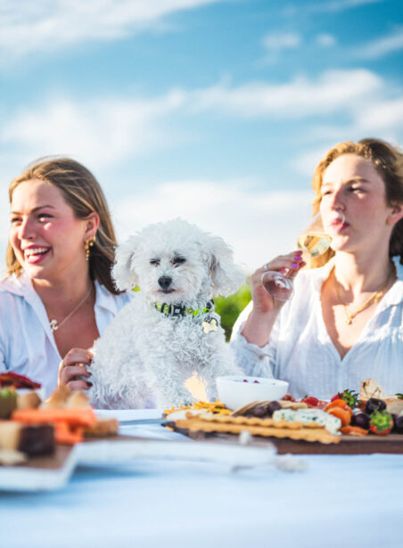 naina.co, naina redhu, Adelaide photographer, lifestyle, wine, eight at the gate, eightatthegate, wrattonbully, south Australia, wine region, wine estate, vineyard, photography,jane Richards, claire Richards, tom, meg, grapes, grape vine, south australian