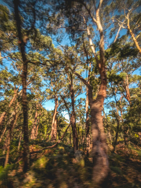 naina redhu, naina.co. journey beyond rail, the great southern, sunsets, sunrises, Australia, Australian countryside, by train, rail journeys, travel photographer, hospitality attendant, locomotive, write, blogger, experience collector, Adelaide, Brisbane, views for miles, Grampians, port stephens by sea