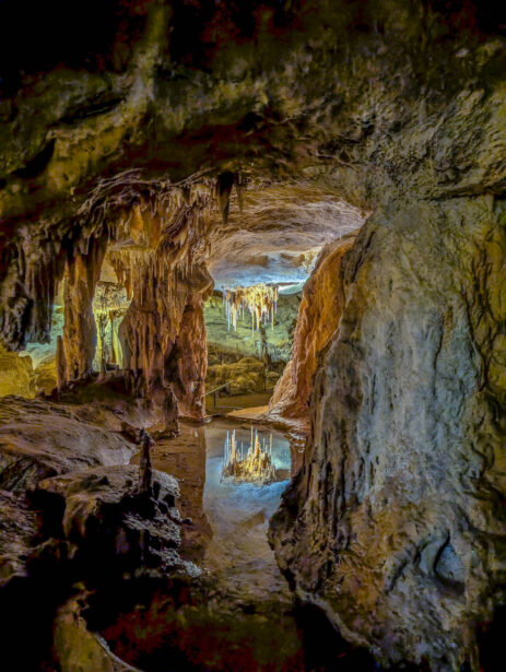 naina.co, naina redhu, Adelaide photographer, lifestyle, wine, eight at the gate, eightatthegate, wrattonbully, south Australia, wine region, wine estate, vineyard, photography, jane Richards, south Australian, limestone coast, naracoorte caves, limestone caves, stalactites, stalagmites, Alexandra caves, world heritage site, unesco