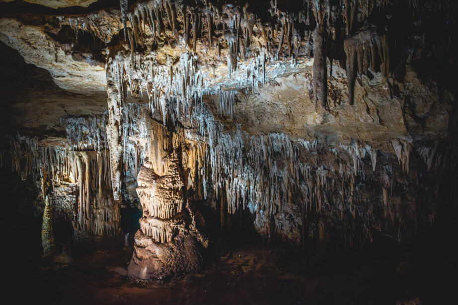 naina.co, naina redhu, Adelaide photographer, lifestyle, wine, eight at the gate, eightatthegate, wrattonbully, south Australia, wine region, wine estate, vineyard, photography, jane Richards, south Australian, limestone coast, naracoorte caves, limestone caves, stalactites, stalagmites, Alexandra caves, world heritage site, unesco