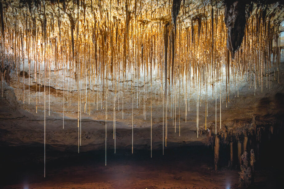 naina.co, naina redhu, Adelaide photographer, lifestyle, wine, eight at the gate, eightatthegate, wrattonbully, south Australia, wine region, wine estate, vineyard, photography, jane Richards, south Australian, limestone coast, naracoorte caves, limestone caves, stalactites, stalagmites, Alexandra caves, world heritage site, unesco