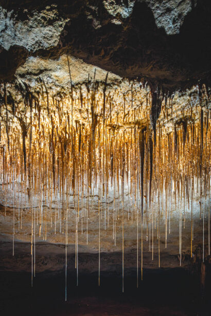 naina.co, naina redhu, Adelaide photographer, lifestyle, wine, eight at the gate, eightatthegate, wrattonbully, south Australia, wine region, wine estate, vineyard, photography, jane Richards, south Australian, limestone coast, naracoorte caves, limestone caves, stalactites, stalagmites, Alexandra caves, world heritage site, unesco