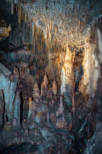 naina.co, naina redhu, Adelaide photographer, lifestyle, wine, eight at the gate, eightatthegate, wrattonbully, south Australia, wine region, wine estate, vineyard, photography, jane Richards, south Australian, limestone coast, naracoorte caves, limestone caves, stalactites, stalagmites, Alexandra caves, world heritage site, unesco