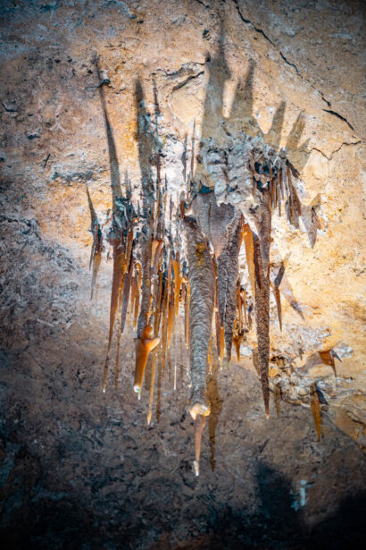 naina.co, naina redhu, Adelaide photographer, lifestyle, wine, eight at the gate, eightatthegate, wrattonbully, south Australia, wine region, wine estate, vineyard, photography, jane Richards, south Australian, limestone coast, naracoorte caves, limestone caves, stalactites, stalagmites, Alexandra caves, world heritage site, unesco