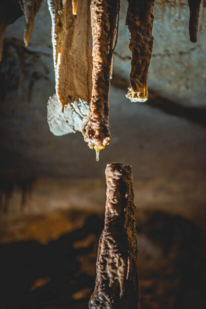 naina.co, naina redhu, Adelaide photographer, lifestyle, wine, eight at the gate, eightatthegate, wrattonbully, south Australia, wine region, wine estate, vineyard, photography, jane Richards, south Australian, limestone coast, naracoorte caves, limestone caves, stalactites, stalagmites, Alexandra caves, world heritage site, unesco