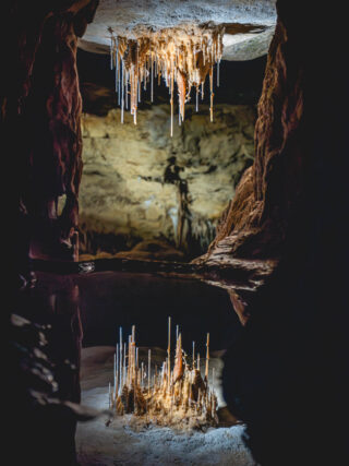 naina.co, naina redhu, Adelaide photographer, lifestyle, wine, eight at the gate, eightatthegate, wrattonbully, south Australia, wine region, wine estate, vineyard, photography, jane Richards, south Australian, limestone coast, naracoorte caves, limestone caves, stalactites, stalagmites, Alexandra caves, world heritage site, unesco