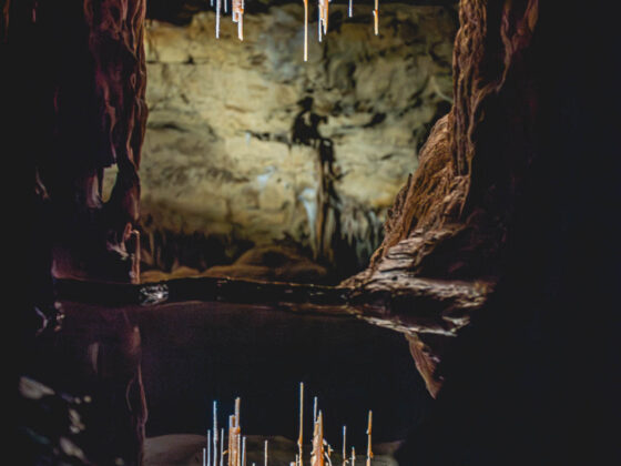 naina.co, naina redhu, Adelaide photographer, lifestyle, wine, eight at the gate, eightatthegate, wrattonbully, south Australia, wine region, wine estate, vineyard, photography, jane Richards, south Australian, limestone coast, naracoorte caves, limestone caves, stalactites, stalagmites, Alexandra caves, world heritage site, unesco